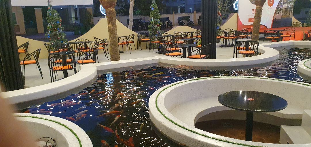 chưa dùng tới nên chưa biết thế nào