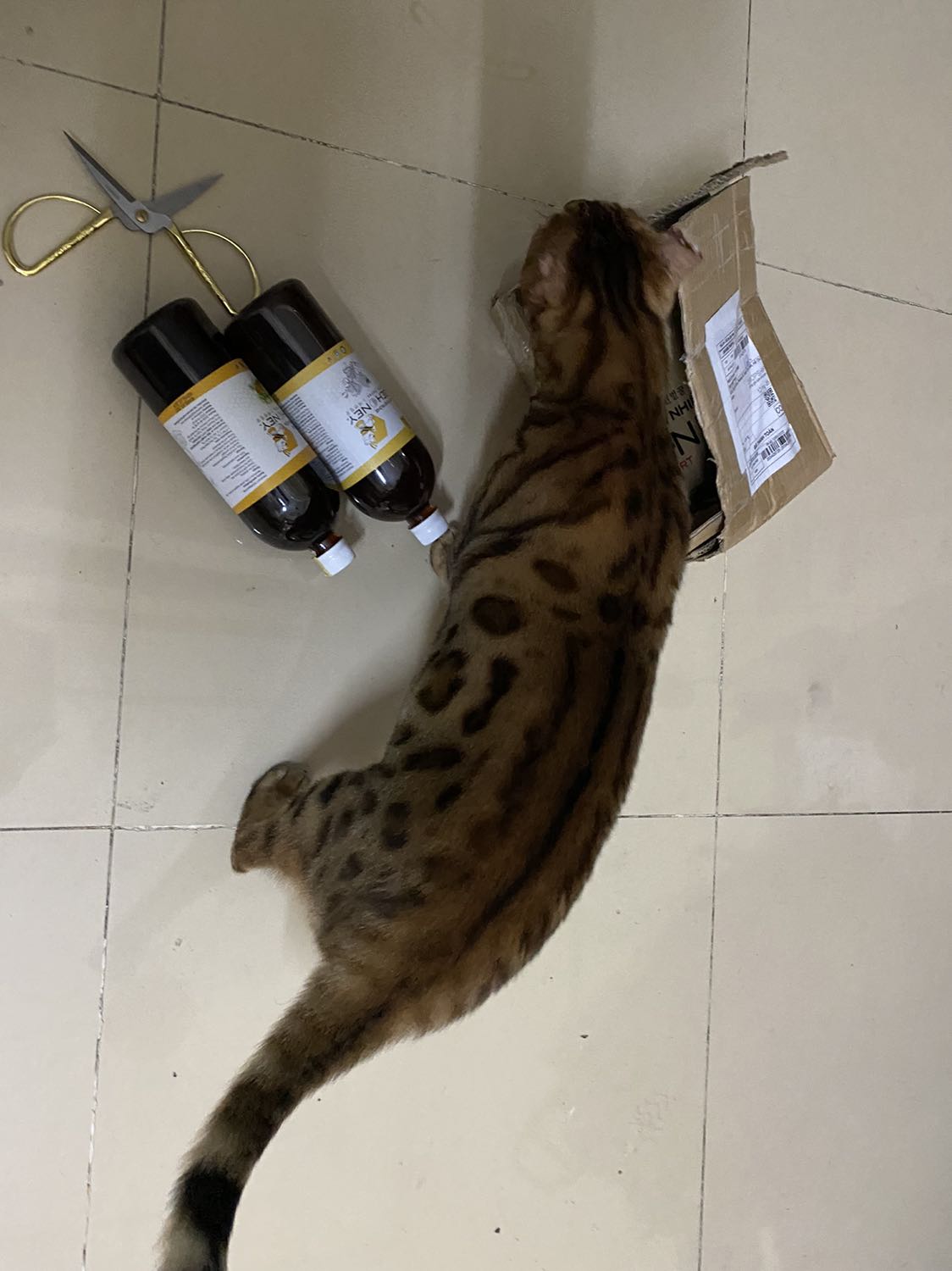 Đã mua mật ong của Cty nhiều lần, nhưng đây là lần đầu mua mật ong Bear . Nói chung là ngon !