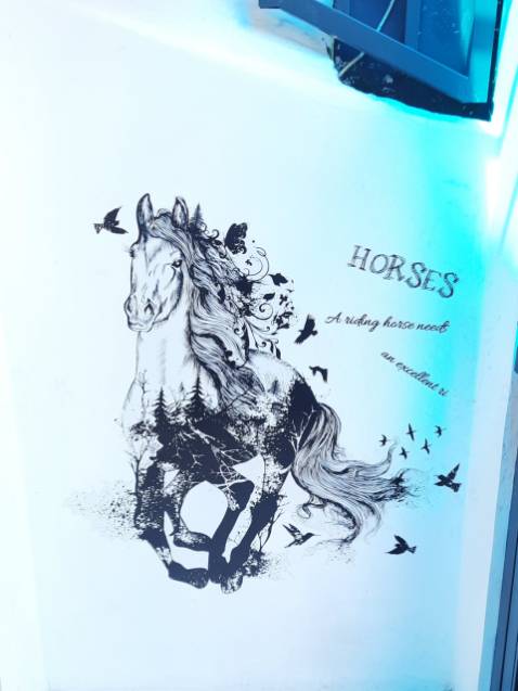 Chỗ này bán rẻ hơn chỗ khác mà hàng chất lượng, dán lên tường khá chắc