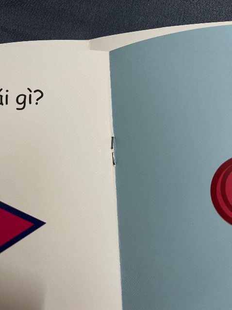 Ghim sách bị han rỉ cả 2 cuốn