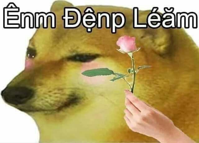 không có ảnh ở đây nma sách đẹp lắm ạ không có ảnh ở đây nma sách đẹp lắm ạ