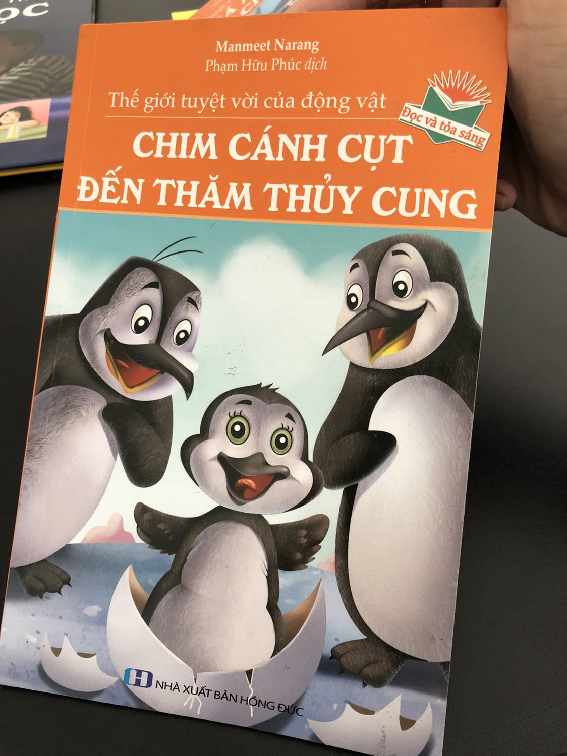 Phù hợp với level các bé