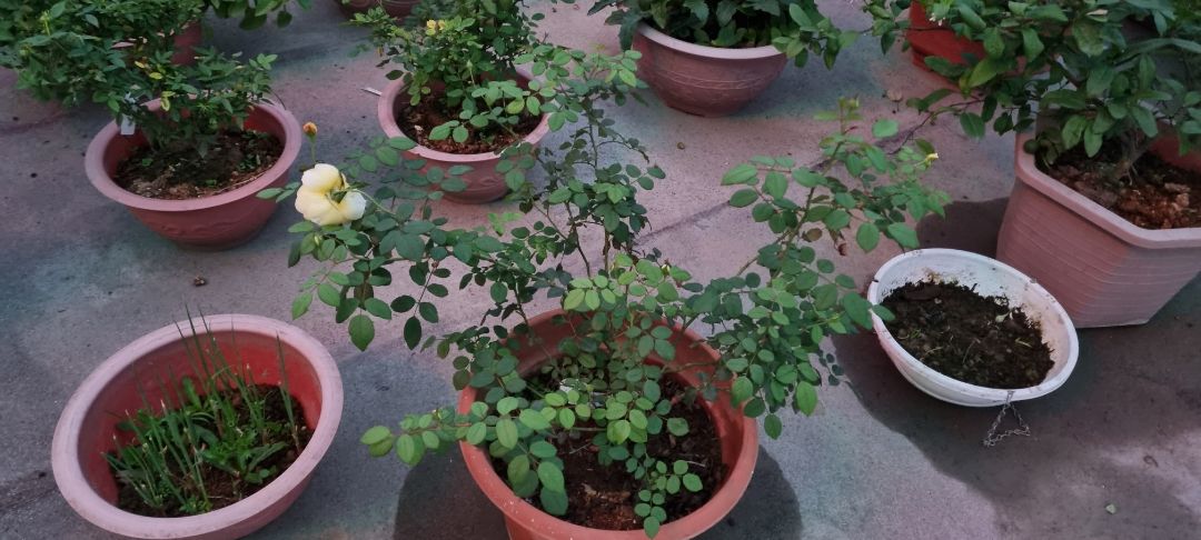 sách đẹp,bìa cứng, màu sắc đúng chuẩn y hình