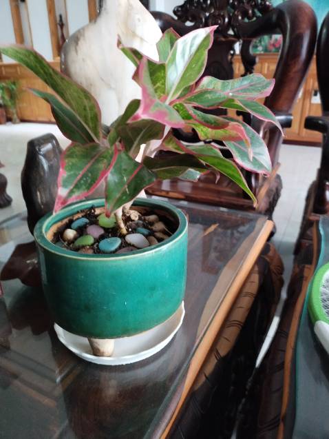 Giao hàng cực nhanh, chất lượng chắc phải chờ kiểm nghiệm mới đánh giá sau