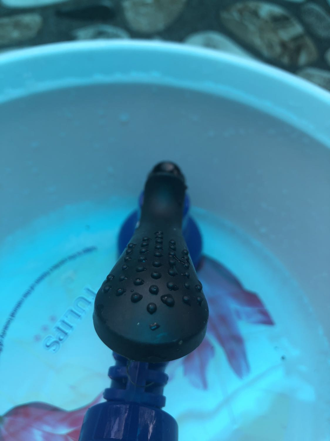 32k ko phải rẻ nh mua về bỏ đi thì lại quá đắt! Các bạn mua trc ko cho m cái đánh giá m mua phải giờ bỏ đi chứ dùng j được !