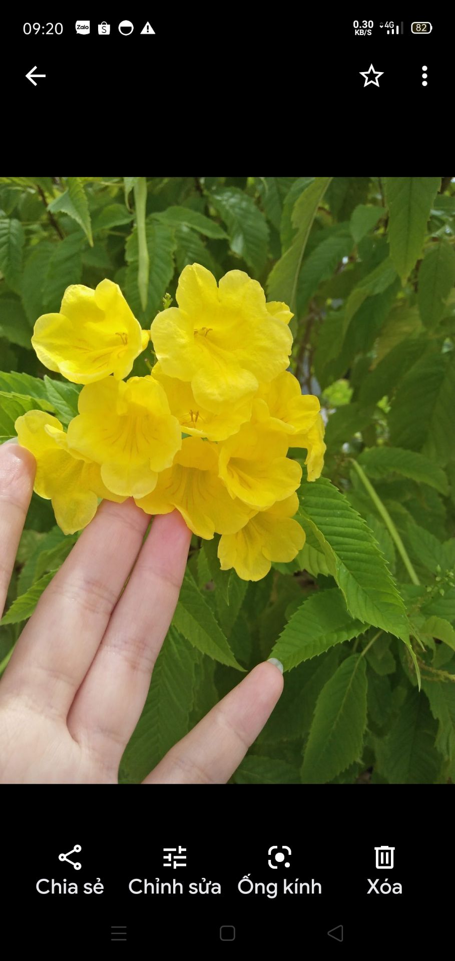 chất liệu đẹp, áo mềm nhẹ  so với giá thì quá tốt có túi trong tiện lợi nhưng nên mua tăng một sai vì áo khoác mua vừa sai bị chật