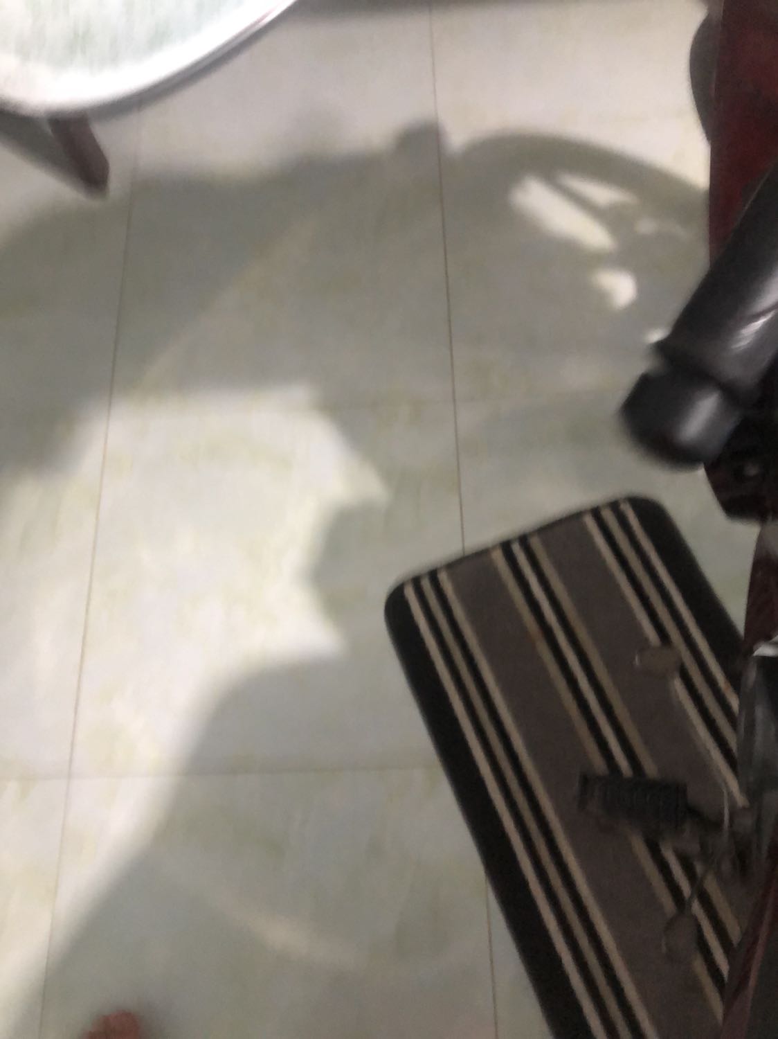 Gấu dinh dơ nhiều quá k dc đep