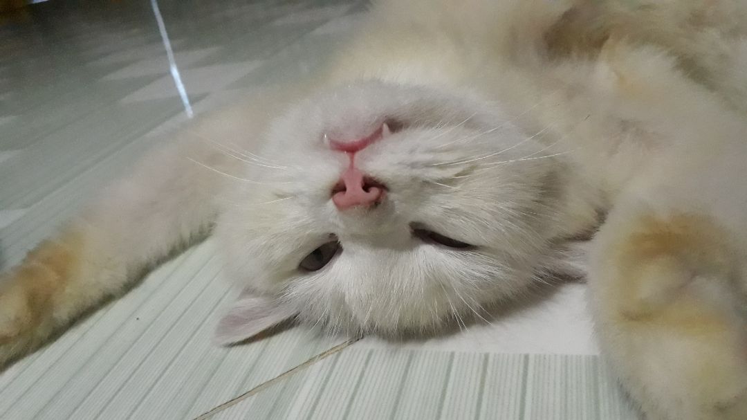 thời gian giao hàng nhanh chóng, đóng gói đep, sẽ tiếp tục ủng hộ nếu chất lượng tốt