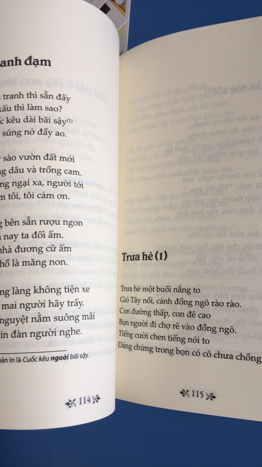 Tôi khá là thích các tác phẩm văn học Việt Nam và các bài thơ của các nhà thơ, đặc biệt là Nguyễn Bính. Thơ ông giản dị, hình ảnh gần gũi nhưng lại có thể diễn tả được tâm trạng của những con người đang yêu một cách chỉ tiết.
