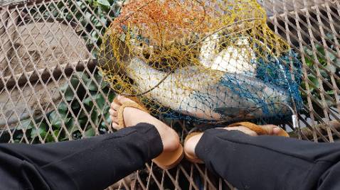 Giao hàng đầy đủ số lượng đã đặt, mẫu mã đẹp dễ sữ dụng độ bền tùy người sủ dụng