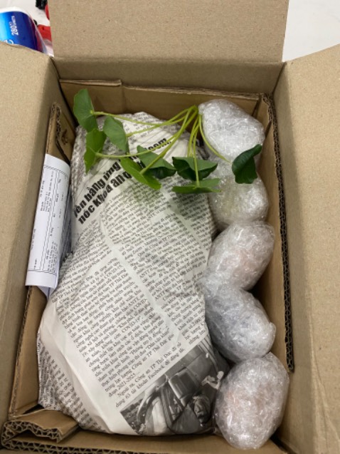 Đóng gói cẩn thận. Chú tiểu sắc nét. Có điều cái cây nó rời với chậu nên cứ chỉnh hoài Đóng gói cẩn thận. Chú tiểu sắc nét. Có điều cái cây nó rời với chậu nên cứ chỉnh hoài