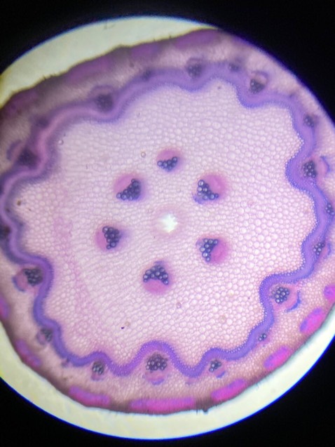 Nhân viên giao hàng thô lỗ Nhân viên giao hàng thô lỗ