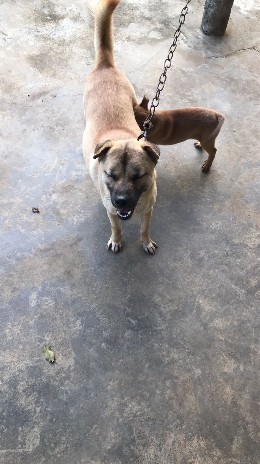 Bọc hơi sơ sài nhưng không bị móp, giao hàng nhanh, sách tốt. Cho shop 5 sao nhé