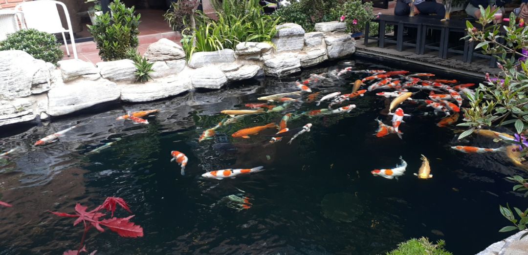 không có vấn đề gì