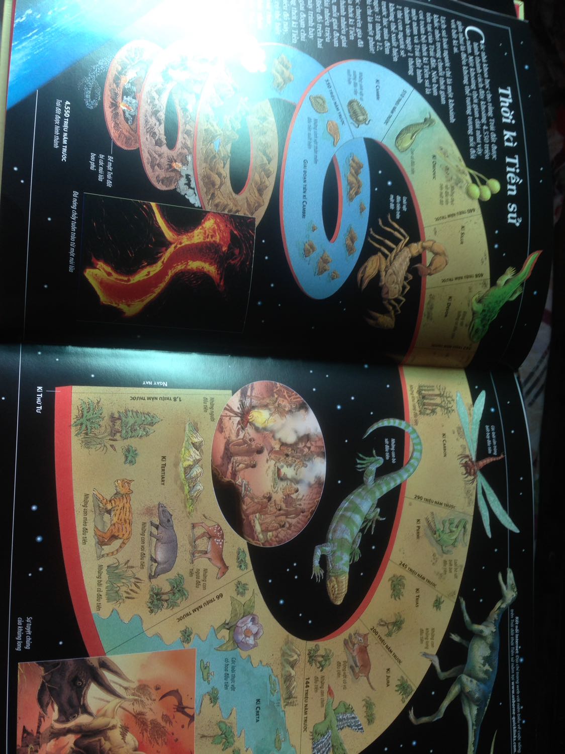 Chất lượng sách tốt, Chỉ theo Ý kiến chủ quan của mình thì mình thấy hình ảnh trong sách hầu hết là vẽ nên nhìn không được trực quan cho lắm. Nhưng vẫn tặng 5?