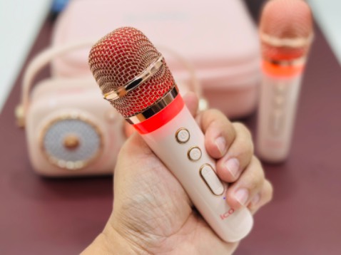 Loa rất đẹp. Hoàn thiện khá tốt, cả loa và 2 micro  rất chắc chắn và nặng tay. Kèm túi da đựng sản phẩm quá ưng. Âm thanh hay cho một chiếc loa mini.