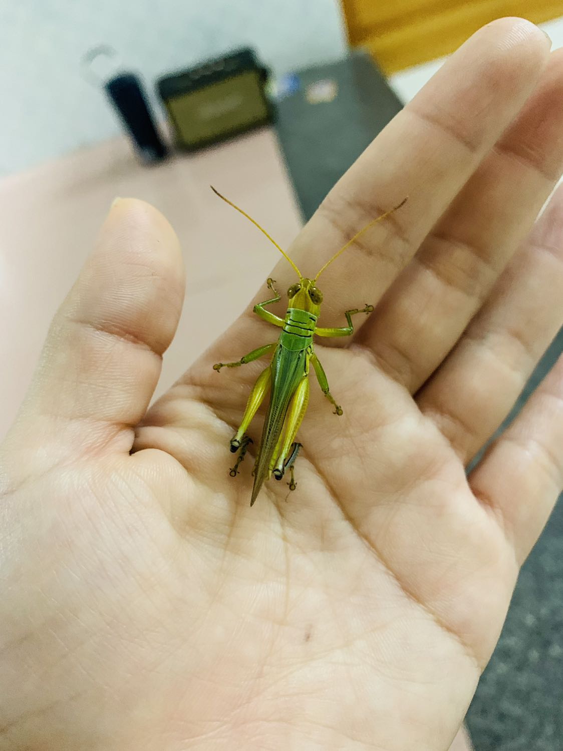 Hình ảnh chỉ mang tính chất minh hoạ, để nhận asa thui…………kkaaaaaa Hình ảnh chỉ mang tính chất minh hoạ, để nhận asa thui…………kkaaaaaa