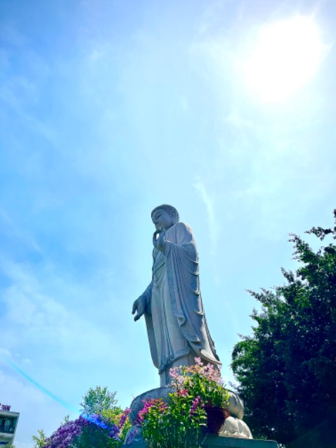 Ảnh mang tính chất hài lòng