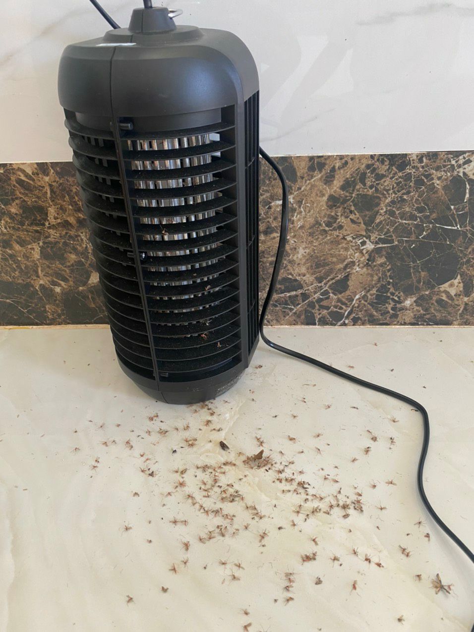 đèn không quá lớn nhưng hiệu quả cực, 10 điểm cho sp, mỗi khi diệt muỗi nó nổ tách tách. đèn con dơi hoạt động ổn định.