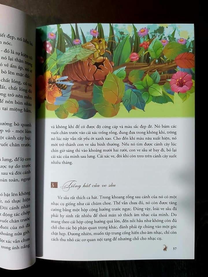 sách đẹp, được bọc cẩn thận. Giá yêu thương. Dịch vụ Tiki thân thiện. thanks!