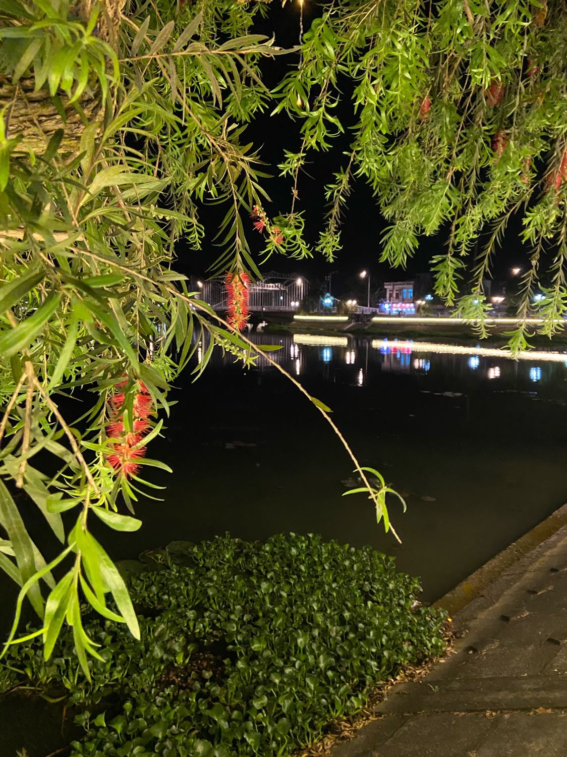 Minh hoạ đẹp sách rất bền