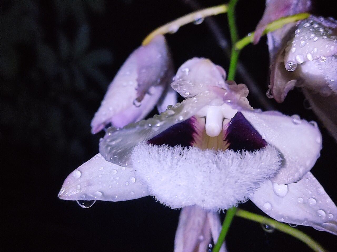 Sp chắc chắn, giống mô tả. Giao hàng nhanh.

Chưa sử dụng.