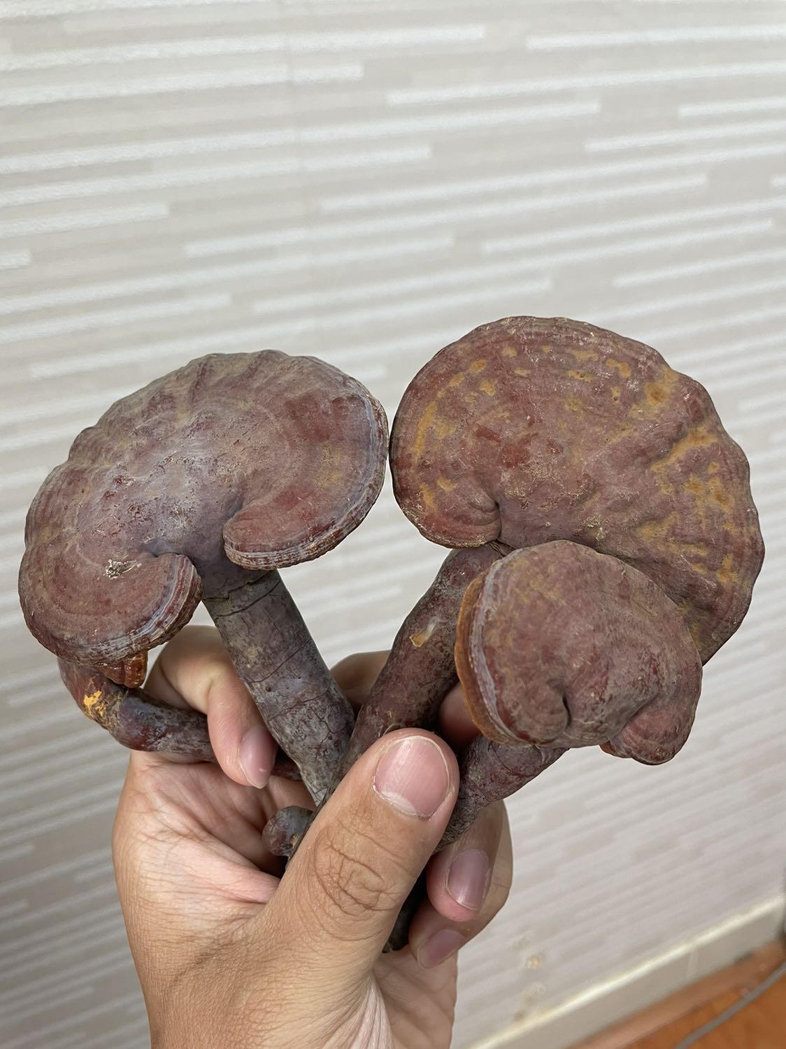 quá tốt ok cho người dùng năm sao mãi một tình yêu luôn luôn đúng