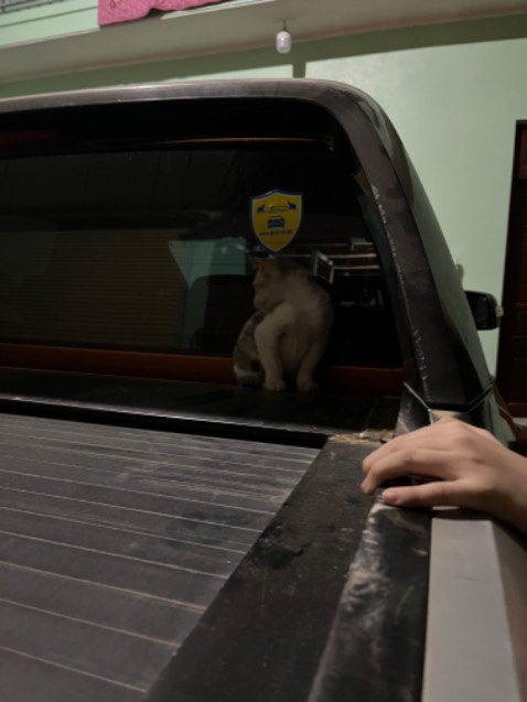 Sản phẩm đúng như hình, giao hàng đúng lịch, anh shipper thân thiện