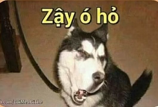 sản phẩm chất lượng tốt, đóng gói cẩn thận, tiki giao hàng nhanh