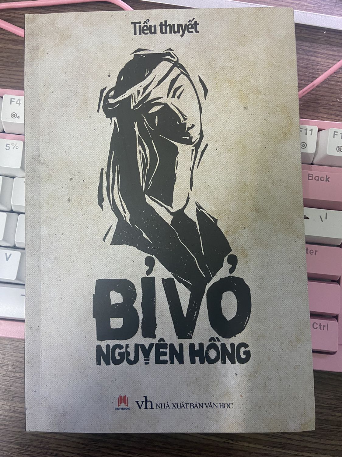 Nguyên Hồng thì học sinh ai cũng biết rồi. Truyện này Nguyên Hồng viết năm 20 tuổi, về mặt nội dung thì không có gì gây cấn cả. Ngay cả cái kết mình cũng có thể đoán được 1 phần nào. Thông qua truyện ta có thể thấy được bối cảnh giai đoạn của Nguyên Hồng nó như thế nào, điều mà những người trẻ ở thời hiện đại không thể cảm nhận được về cái nghèo và cái khổ. Mình có suy nghĩ là có lẽ tác giả đổ hết tất cả những gì xui xẻo nhất lên đầu Tám Bình để người đọc những con người trong xã hội khổ sở ngày đó cảm thấy bản thân ít nhất vẫn còn may mắn hơn Tám Bình. Một kiểu xoa dịu nổi đau gián tiếp. Những bạn nào thích tìm hiểu về lịch sử thì có thể đọc cuốn này. Phim ảnh không lột tả tốt được bằng ngôn ngữ. Ngôn ngữ sẽ làm cho tâm trí người đọc tự tưởng tượng và vẽ ra bối cảnh của riêng mình. Đó là vẻ đẹp của ngôn ngữ