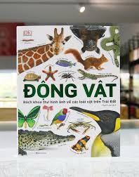 Sách giao nhanh nguyên seal to đẹp giá giảm tốt