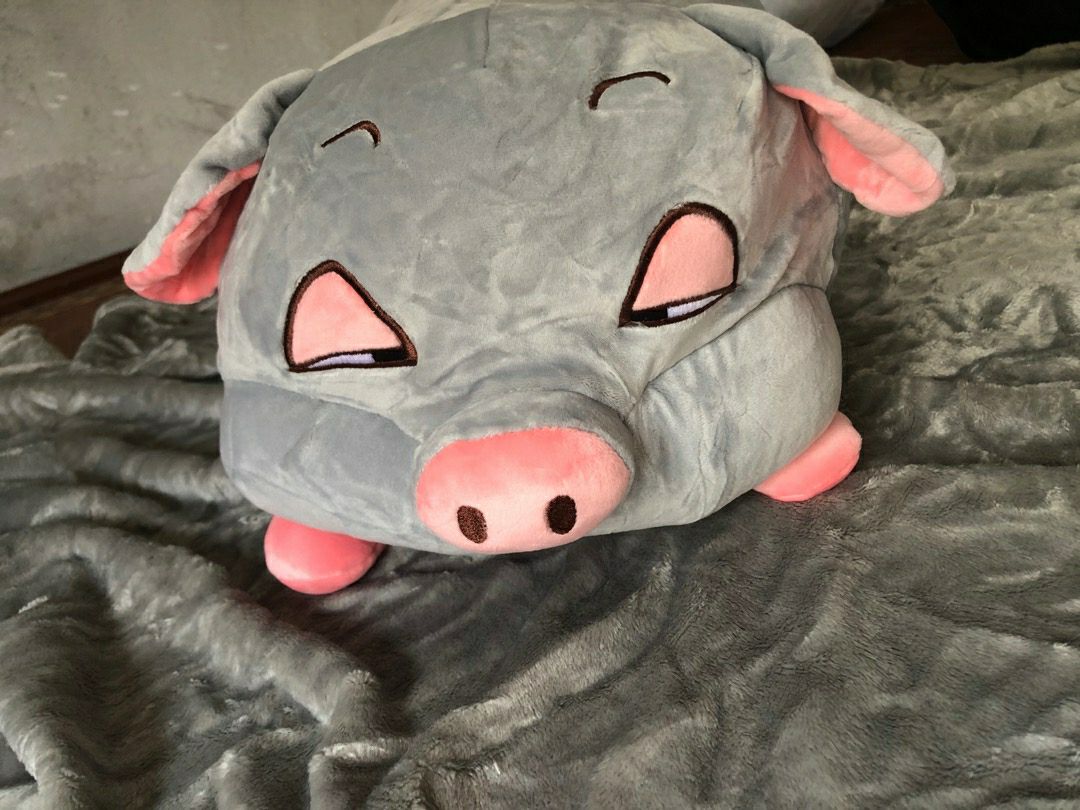 Bộ chăn gối xịn lắm nha! Heo mềm êm, mền 2 lớp lông chứ không phải loại 1 lớp nên ấm, xài ở văn phòng rất ổn. Dây kéo may giấu bên trong, có điều bụng hơi bé nên nhét mền vào hơi khó thôi còn lại rất ok