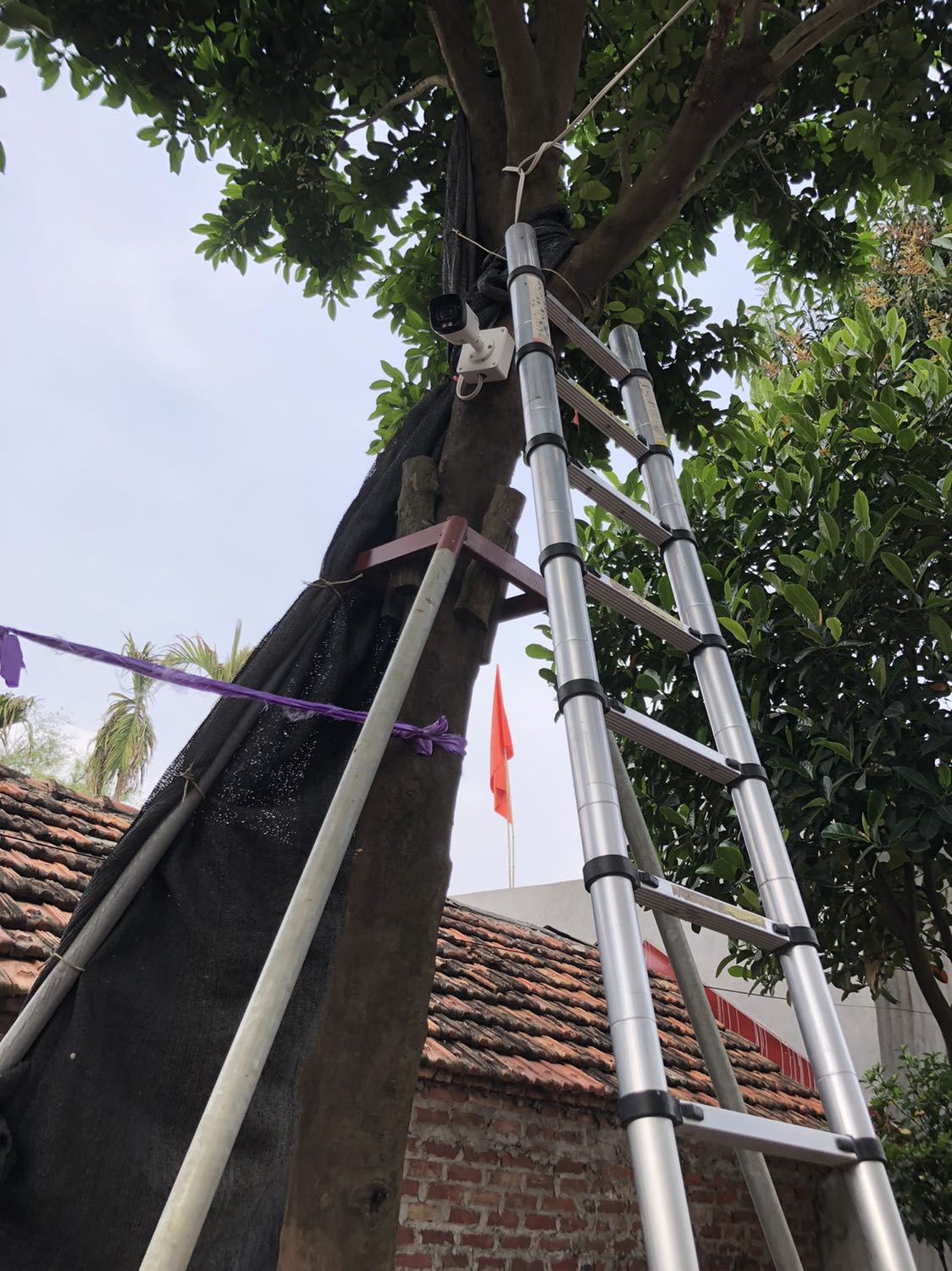 Ok hàng chất lượng …giao nhanh chóng mình mình làm mạng nên cần số lượng thấy sh cũng rất uy tín