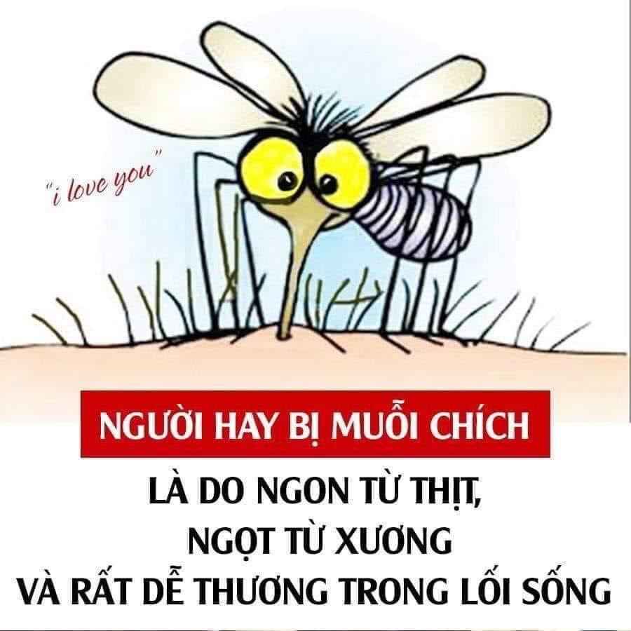 Hàng ok hình ảnh chỉ mang tính chất minh hoạ Hàng ok hình ảnh chỉ mang tính chất minh hoạ