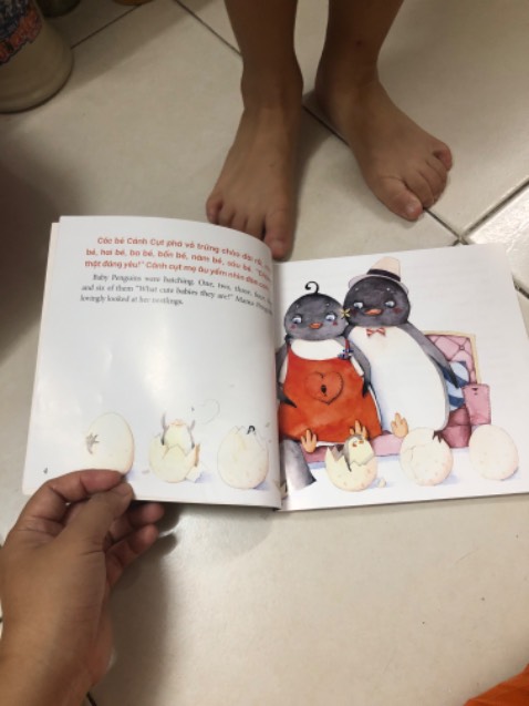 Giấy đẹp, màu đẹp, có song ngữ