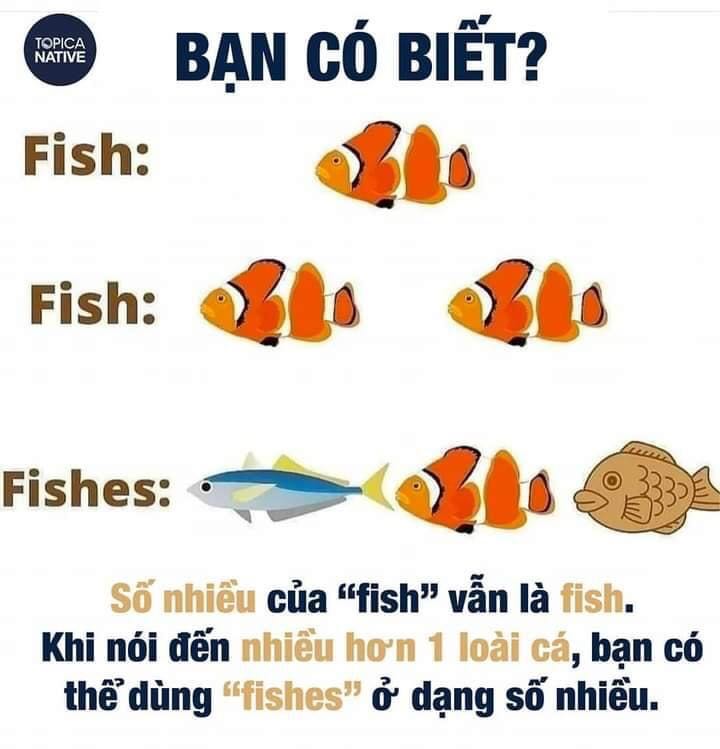 Giao hàng tikinow nhanh hàng khá ổn nhưng mà ko có bọc bên ngoài sách với ko có đĩa CD tải file khá phức tạp