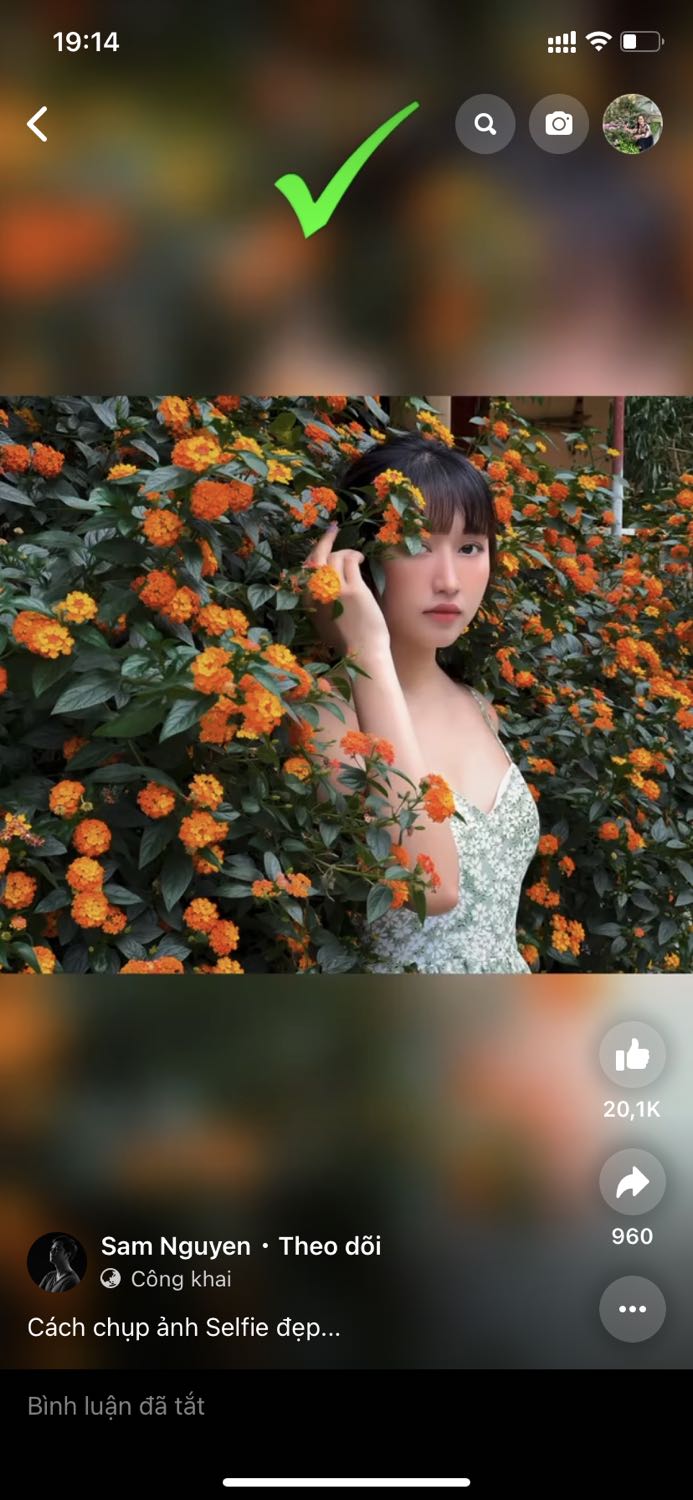 Chất lượng và đẹp Chất lượng và đẹp