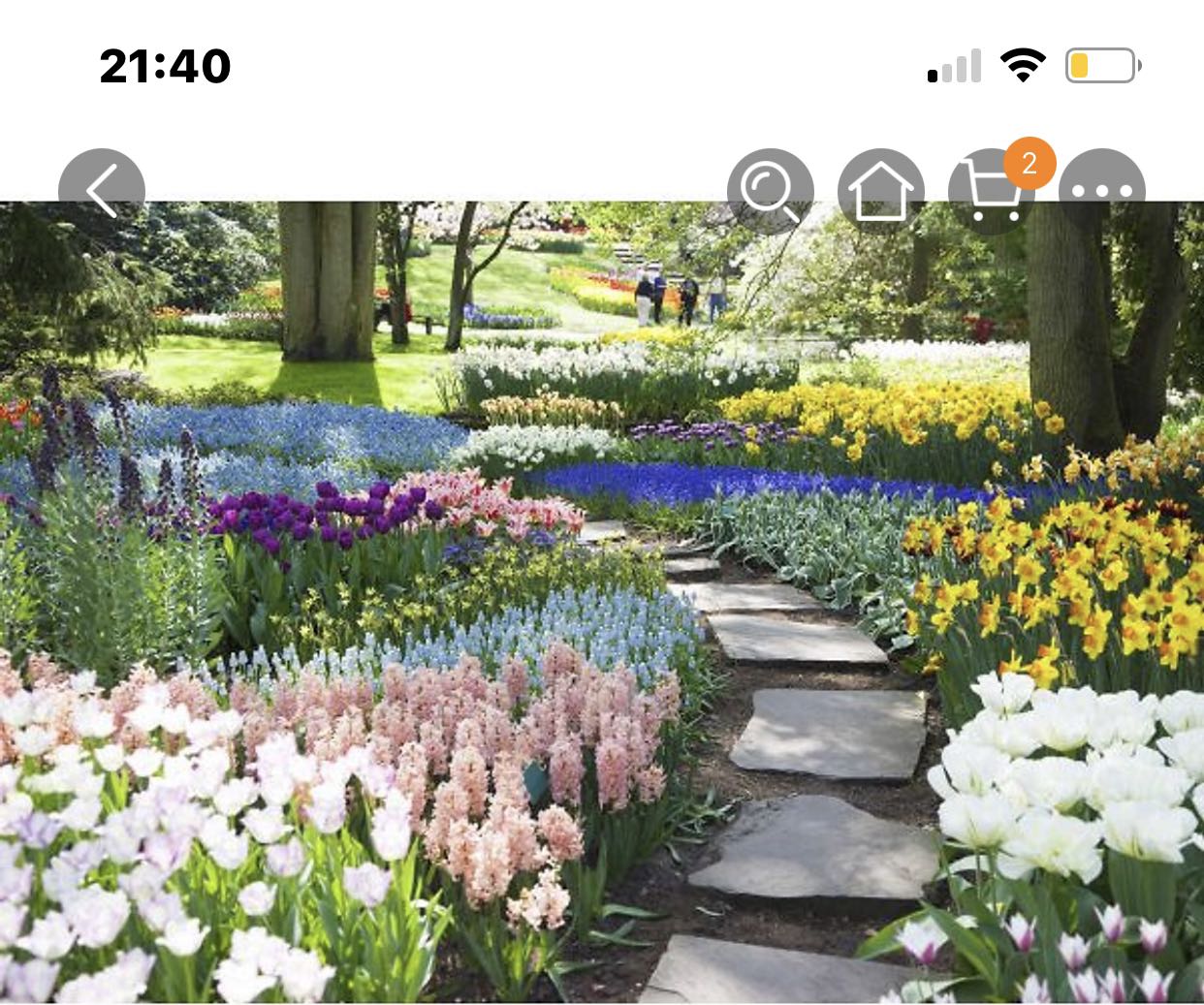 Tranh đẹp, màu sắc đẹp