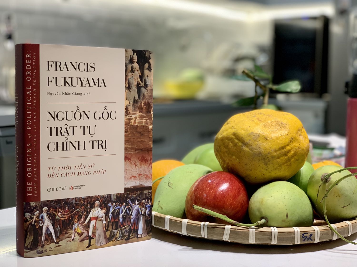 "... Cuốn sách ra đời nhằm xem xét nguồn gốc của các thể chế chính trị cũng như quá trình suy tàn chính trị..."