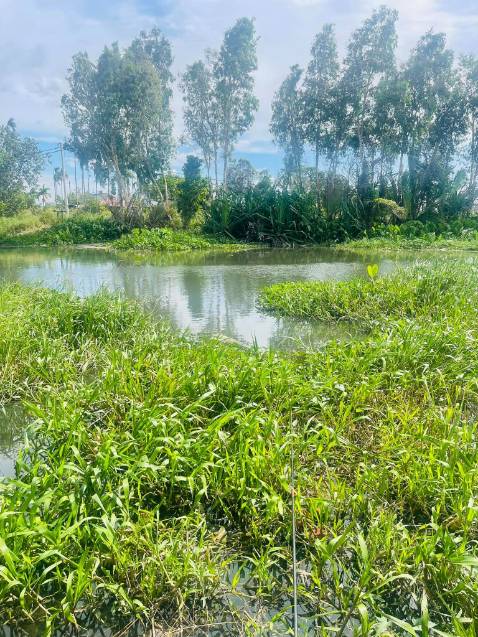 Giao hàng nhanh, đóng gói cẩn thận hàng đẹp chất lượng tốt