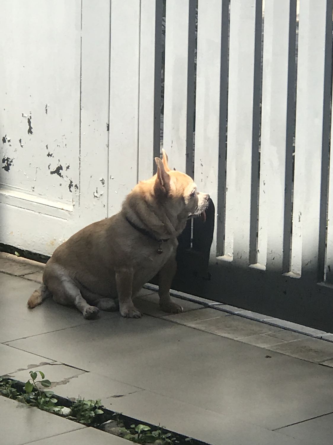 Hàng nhận okay ko rách. Nguyên vẹn đẹp. Bị cái giấy thuộc dạng mỏng le... cầm ko đã.