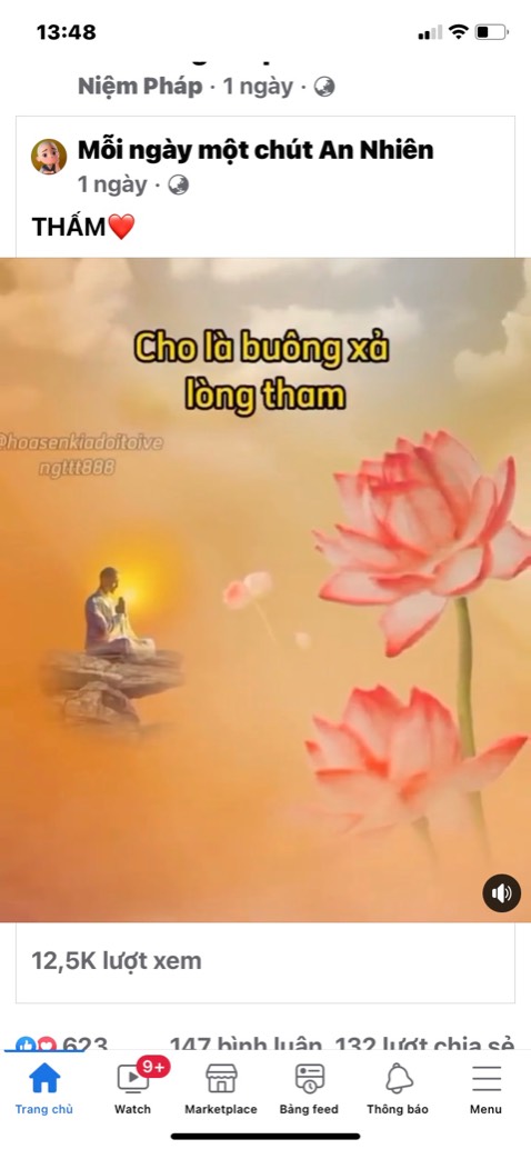 Chảo dày đẹp