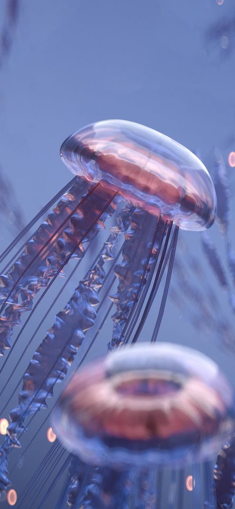 Nhìn thì rất bắt mắt nhưng chưa có cơ hội để thử vì chưa có xe nào hết bình cả 😁😁😁😁😁