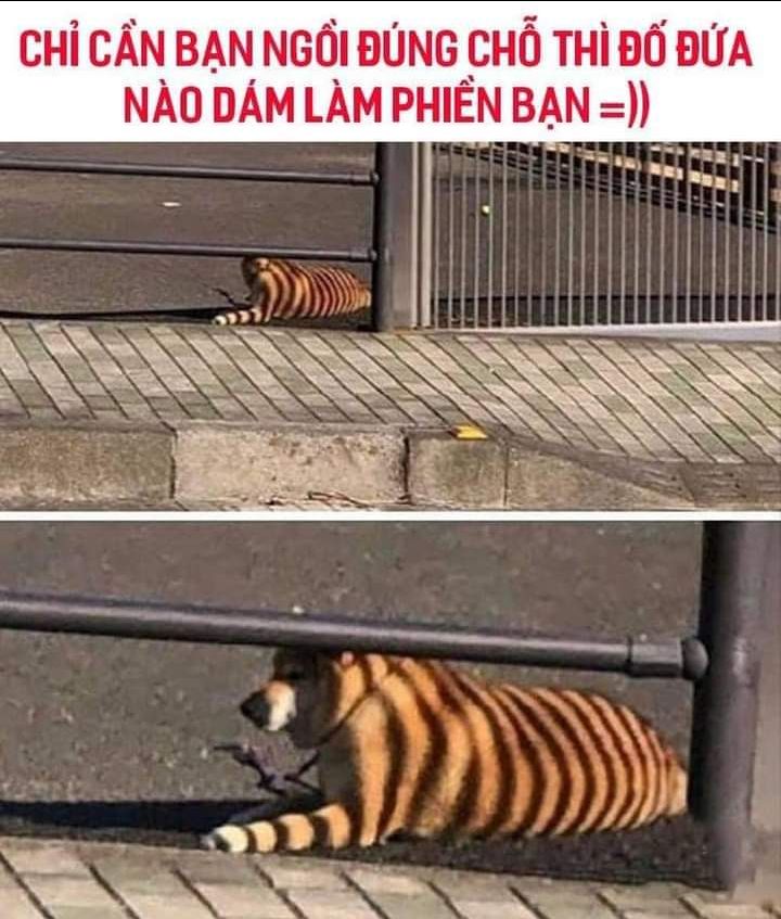 Muỗng mềm, đẹp y như hình shop đưa. M lười chụp hình quá. Dịch nhưng Tiki vẫn giao hàng đúng giờ.