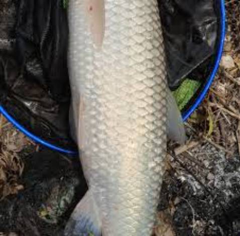 Sản phẩm rất tuyệt vời rất là đẹp rất uy tín