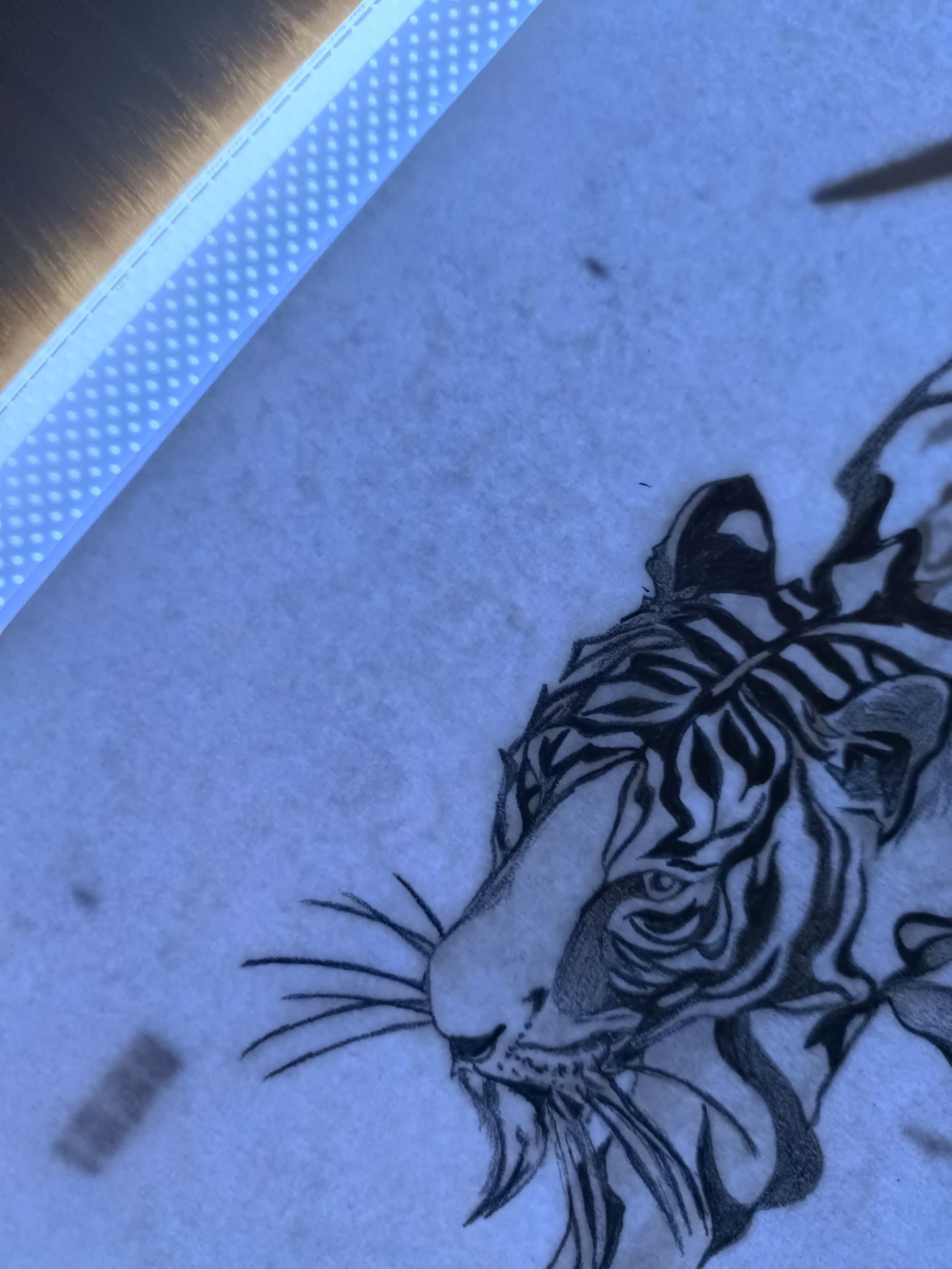 giấy vẽ dày dặn 👍