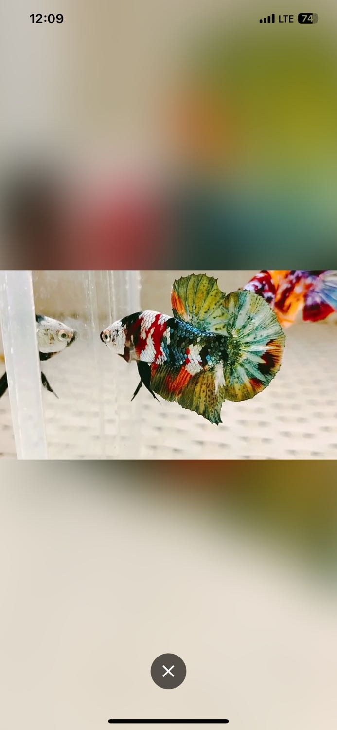 giao hàng nhanh sách chất lượng