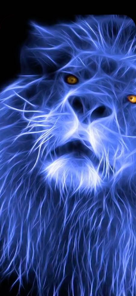 Sách chuẩn, đóng gói cẩn thận