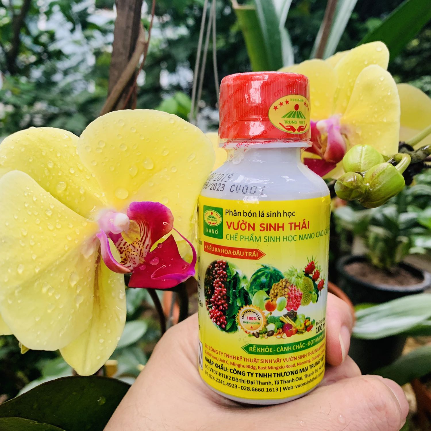 Đã phun thử cho hoa lan được mấy lần. Công nhận cây khoẻ. Rễ mạnh. Hoa đẹp
Rỉ sắt hầu như ko bị
Ủng hộ shop nhé !