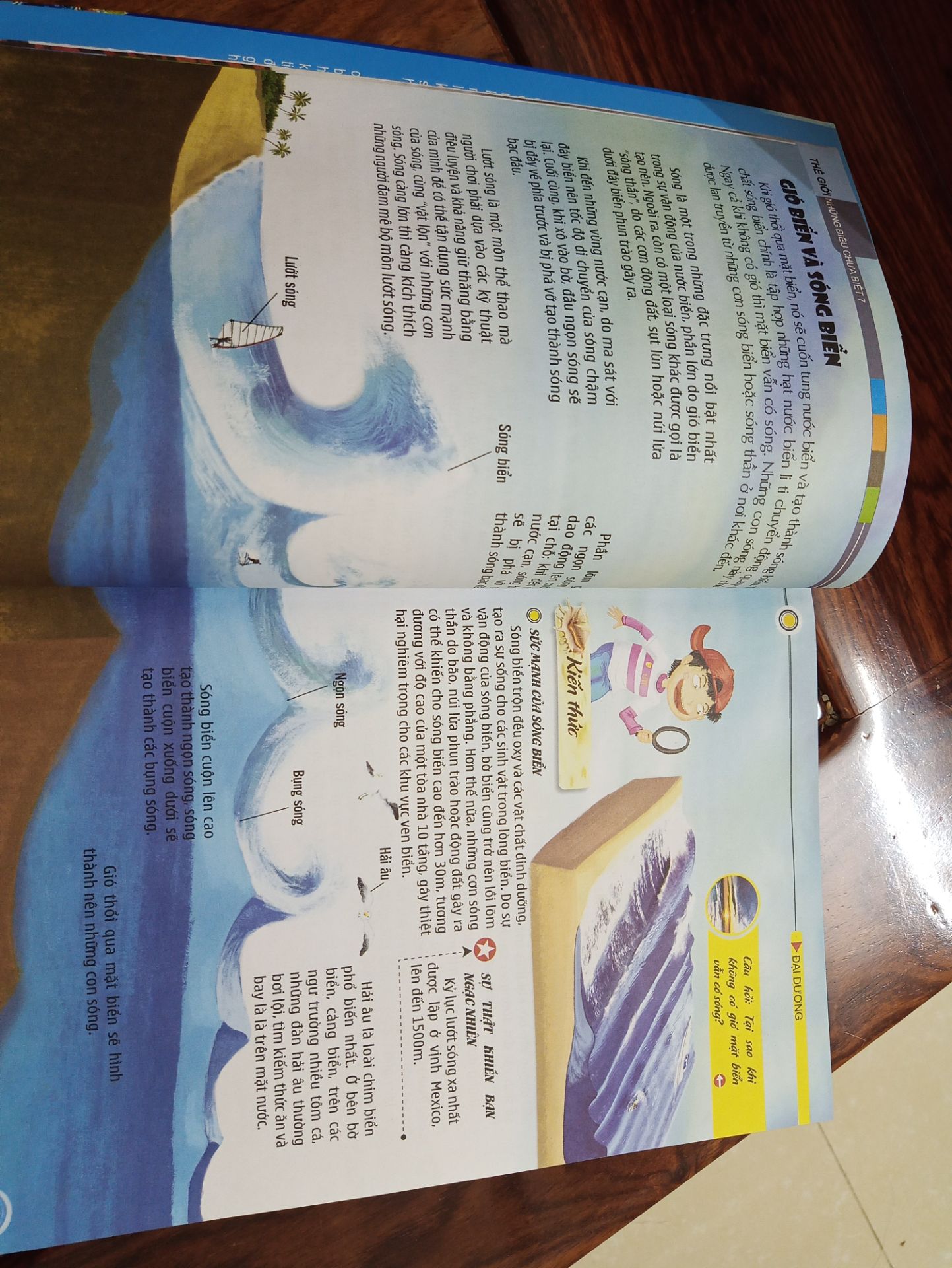 Rất thú vị cho các bé tìm hiểu. Mình lấy tạm ảnh sách khác.